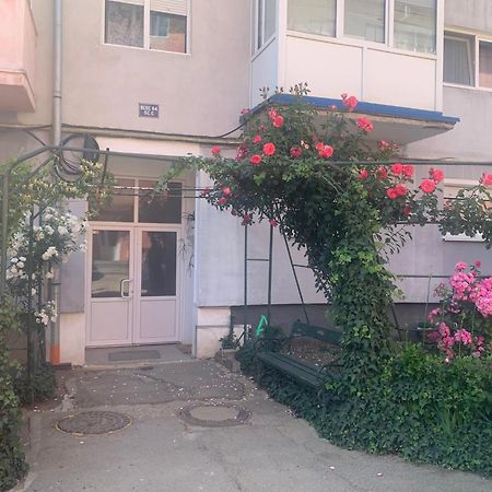 Cazare Medias, apartament modern Exterior foto