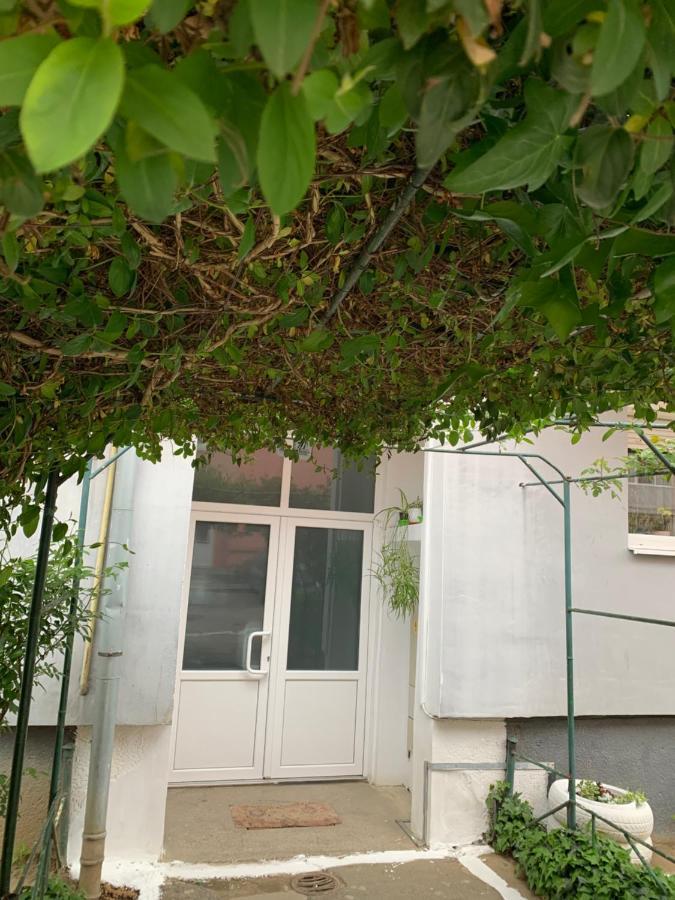 Cazare Medias, apartament modern Exterior foto