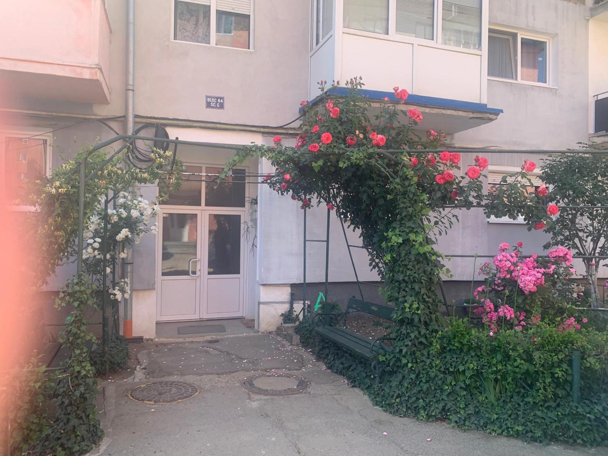 Cazare Medias, apartament modern Exterior foto